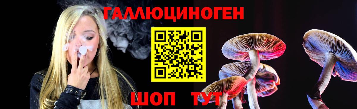 как найти закладки  Галлюциногенные грибы Cubensis  Галлюциногенные грибы Psilocybe  Вход с VPN  Ивантеевка 