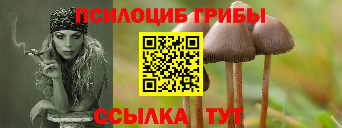 Галлюциногенные грибы MAGIC MUSHROOMS Ивантеевка